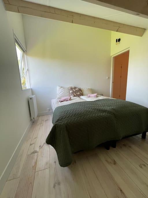 Modern Beach House For 12 Pers! With Jacuzzi Julianadorp Exteriér fotografie